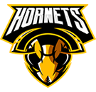 https://www.scyellowjackets.com/wp-content/uploads/2022/09/team_logo_06.png