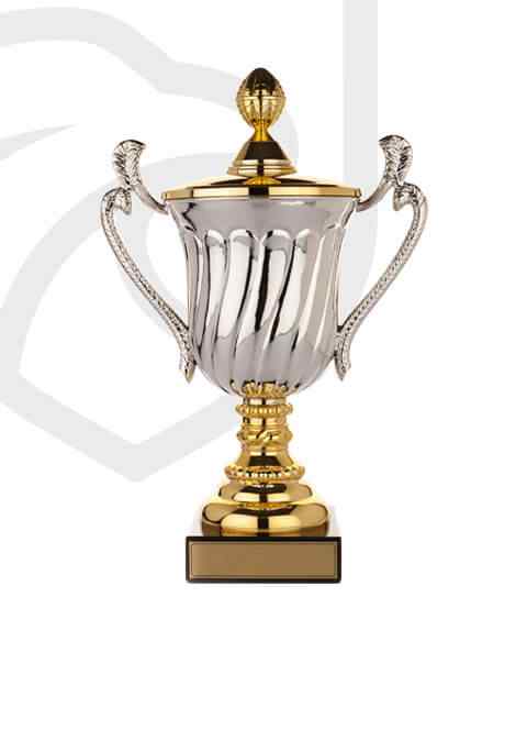 https://www.scyellowjackets.com/wp-content/uploads/2022/11/trophy_overlay_02.jpg